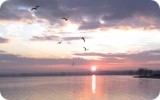 Lago Trasimeno